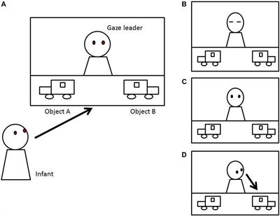 Learning Process of Gaze Following: Computational Modeling Based on Reinforcement Learning